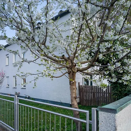 Chill In Soldnerstrasse Apartment *